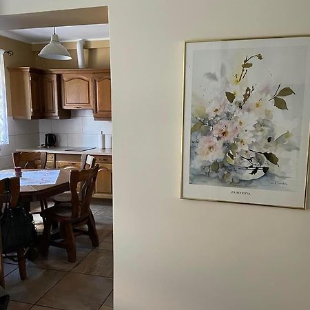 Apartamenty Jaskinia Solna Ruda Slaska Buitenkant foto
