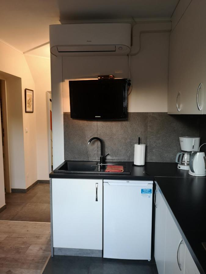 Apartamenty Jaskinia Solna Ruda Slaska Buitenkant foto