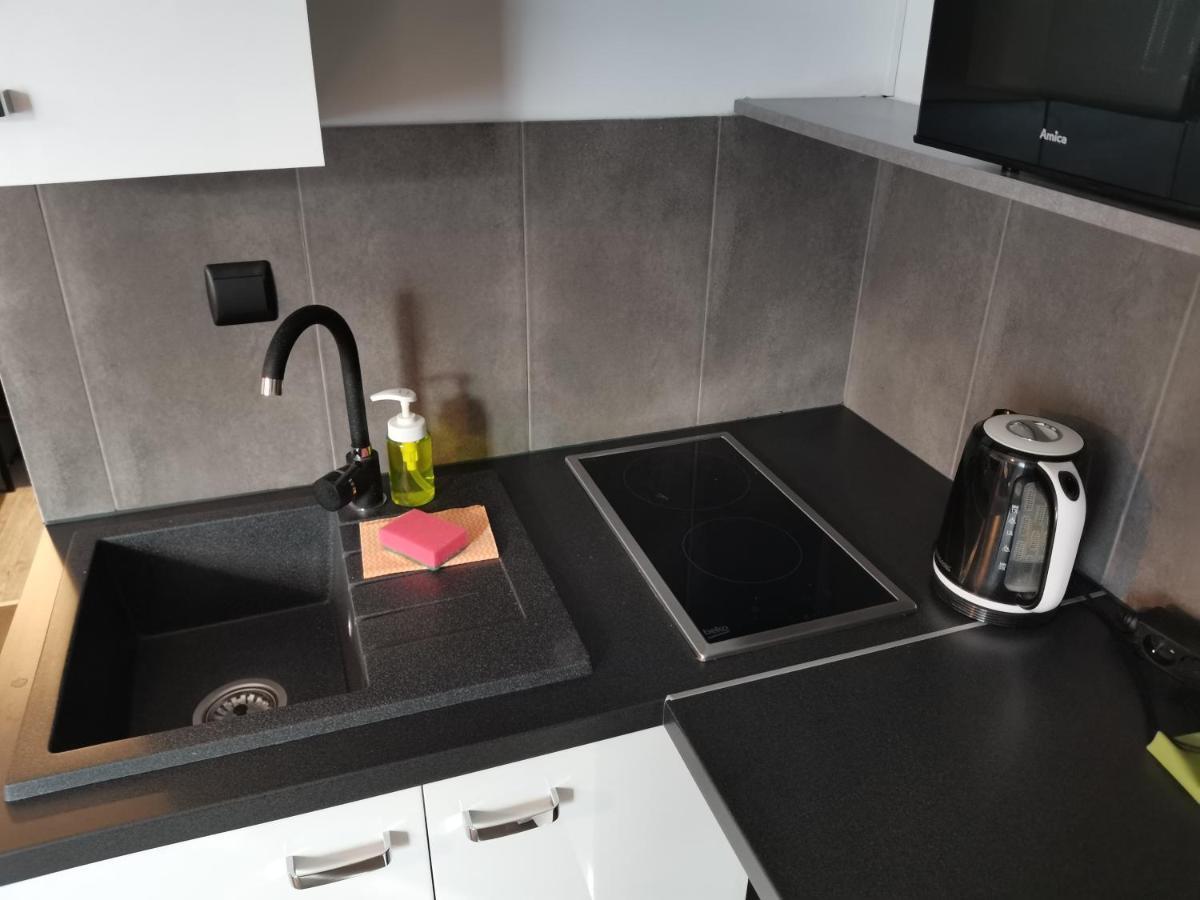 Apartamenty Jaskinia Solna Ruda Slaska Buitenkant foto